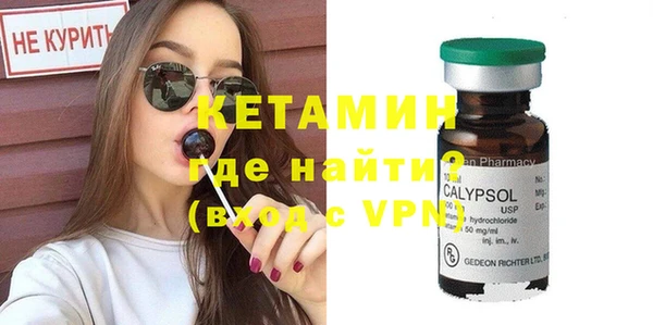 сатива Вяземский