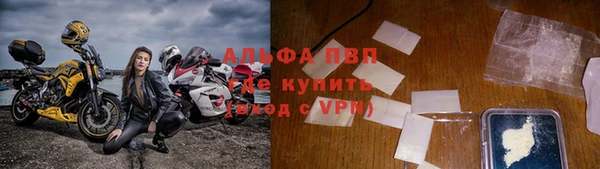 сатива Вяземский