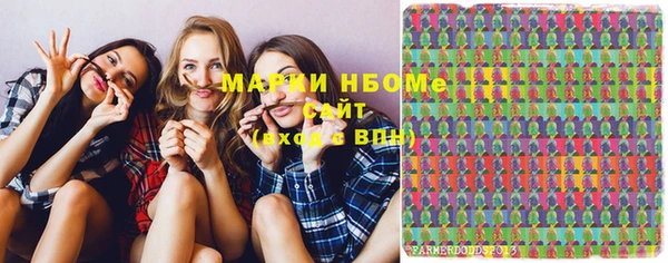 сатива Вяземский