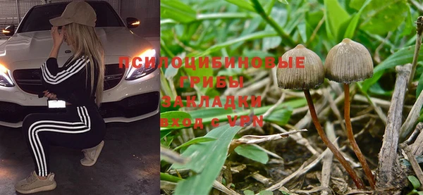 сатива Вяземский
