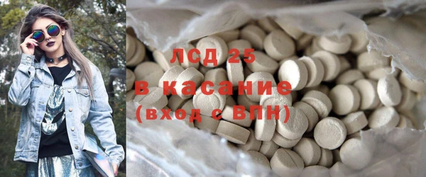ГАЛЛЮЦИНОГЕННЫЕ ГРИБЫ Вязники